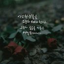 버팀목 이미지