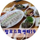 맘모스19호