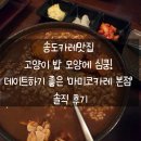 마미코 | 송도카레맛집 고양이 밥 모양에 심쿵! 데이트하기 좋은 '마미코카레 본점' 솔직 후기