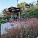 청통(대구) 이미지