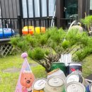 오렌지 펜션 이미지