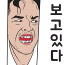 보라냐옹 이미지