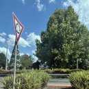 독일안경마당 | 호주 인버렐 세컨비자를 위해 바퀴벌레의 소굴에서 살아남기 + 220, 221,222