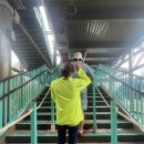 엘에스멀티샵 이미지