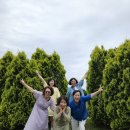 제주여행 | 제주도 9인승 점보택시 타고 아파트 친구들과 다녀온 제주 여행 후기