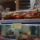 안녕후포리 이미지