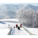 하이얀목장 이미지