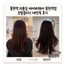 에이바헤어 봉천역점 | 봉천 에이바헤어 봉천역점 모발클리닉 솔직후기 손상모 케어 추천