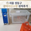 안녕강아지 | 서울 성동구 강아지산소방 설치 후기