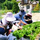 무주펜션선앤문 이미지