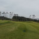 모나크cc 이미지