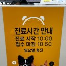 쿨펫동물병원(탄방점) 이미지