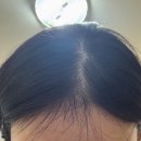 온탕과 냉탕을 오가는 나날들