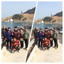 학동자동차야영장 Daum카페