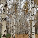 8월 의도한 책 「꿈꾸시락」 명수정 작가 강연회 | [정보]출판사별 독후활동지 링크 안내