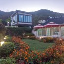 태란 펜션 이미지