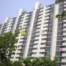 부곡시장길 이미지