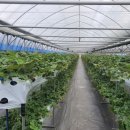 재인 농장 이미지