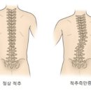 뷰필라테스 네이버블로그