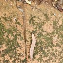 비학산자연휴양림 | 포항 유일한 휴양림 비학산자연휴양림