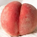 신비앤팜 이미지