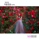 머들