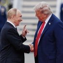 트럼프부동산중개 이미지