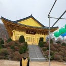 스테이 오년 | 대중교통으로 갈 수 있는 수국사 휴식형 템플스테이 후기