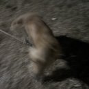 찬민농장 이미지