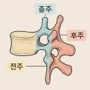 세중주 이미지