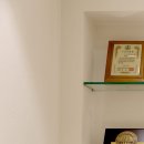 참편한하지외과의원 | 분당 정자동 치과 추천 틀니 vs 임플란트 틀니? 현직 의사가 말하는 차이