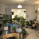 봉방2길 21, (봉방동) 이미지