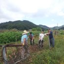 산양3리 이미지