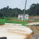명도농장 티스토리