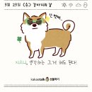 하트는멍멍 네이버블로그