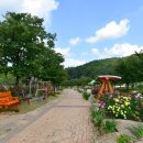 장미정원 이미지