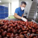 동충주농협 소태지점 이미지