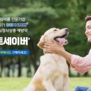 메리트약국 이미지
