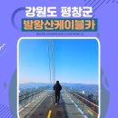 대인카프라자 | 평창 가볼만한 곳 발왕산 케이블카 스카이워크 가격 및 후기