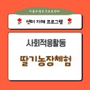 안적동농장 이미지