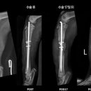 정강동물병원 이미지