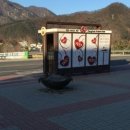 숲속의 하얀별 이미지