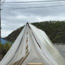 스테이노은 이미지