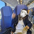 기차여행 | 피사의 사탑 - 이탈리아 기차여행 후기