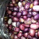 자연과 콩 이미지