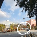 평화꿈틀작은도서관 | 전북대 카페 전북대 휘낭시에 전주 카공 카페 평화와평화 구내매점