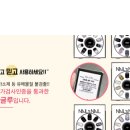 더네일스 이미지