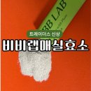 트레이더스 효소 비비랩 매실채움효소 신상품 후기