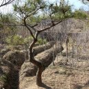 유전1농장 이미지