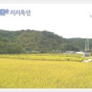 미천면-5 이미지